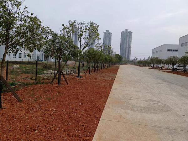 绿水青山就是金山银山